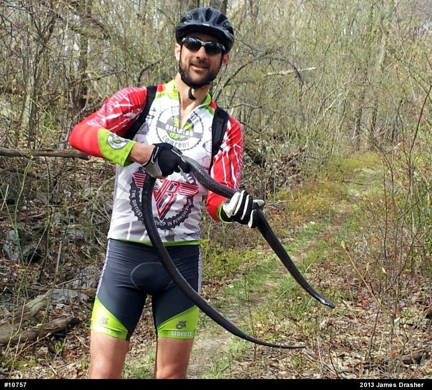Eastern Ratsnake