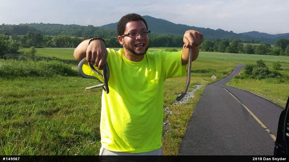 Eastern Gartersnake