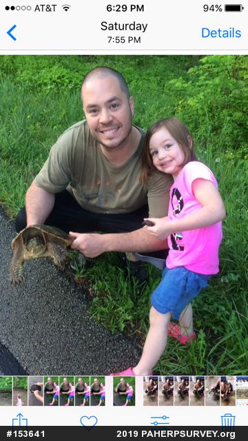 Snapping Turtle