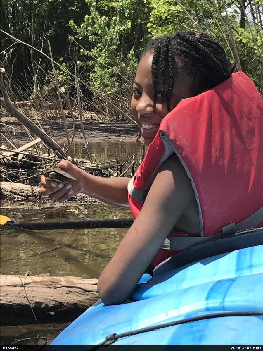 Northern Map Turtle