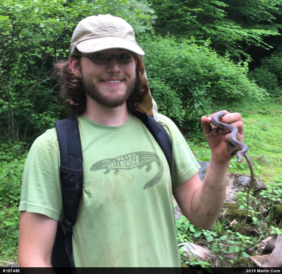 Queensnake