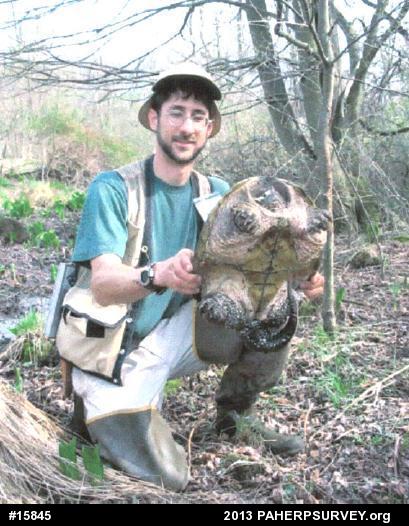 Snapping Turtle