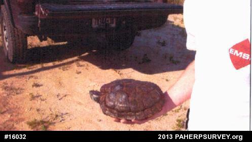 Pond Slider