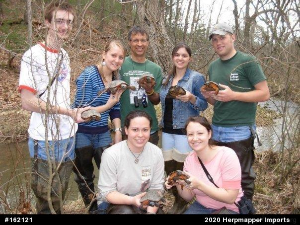 Wood Turtle