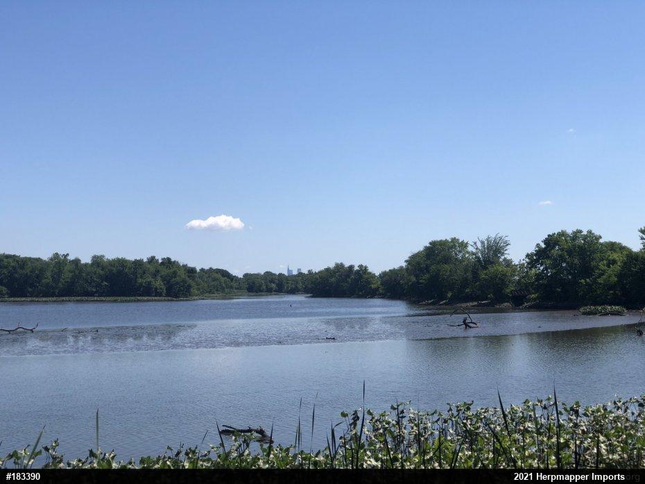 Pond Slider