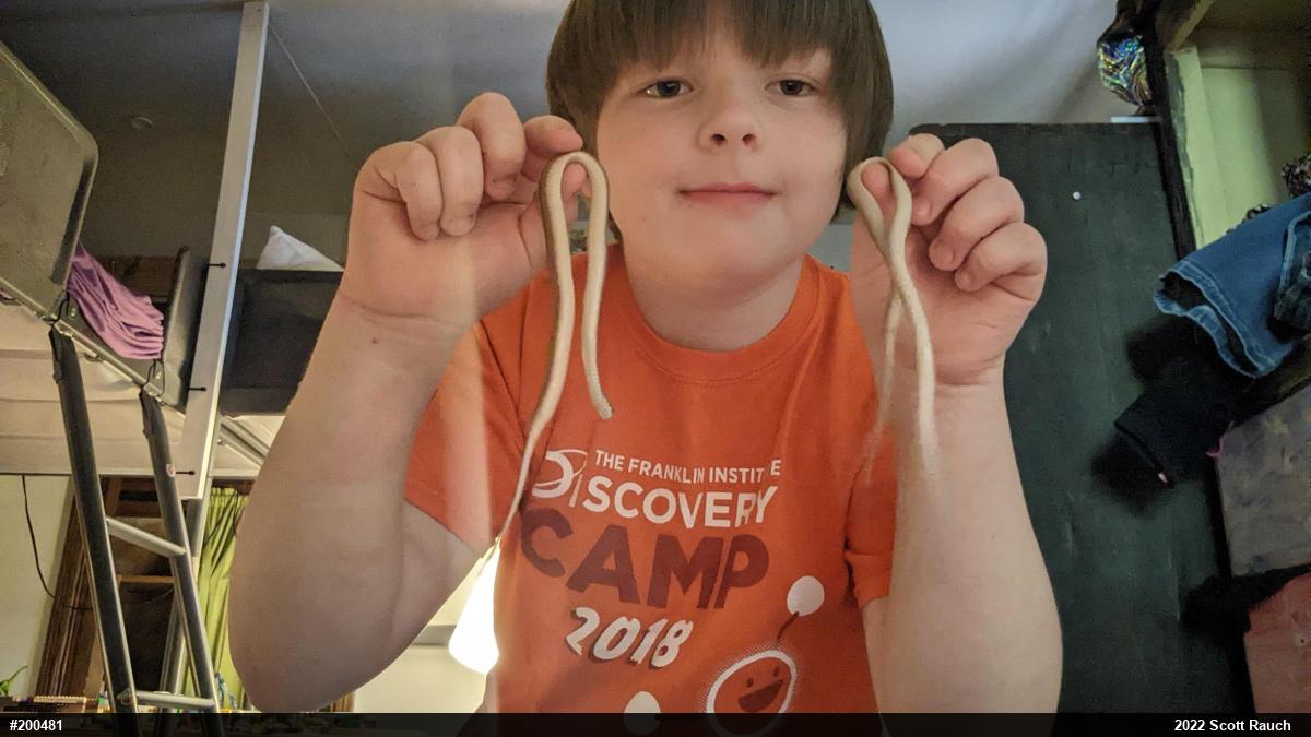 Dekay's Brownsnake