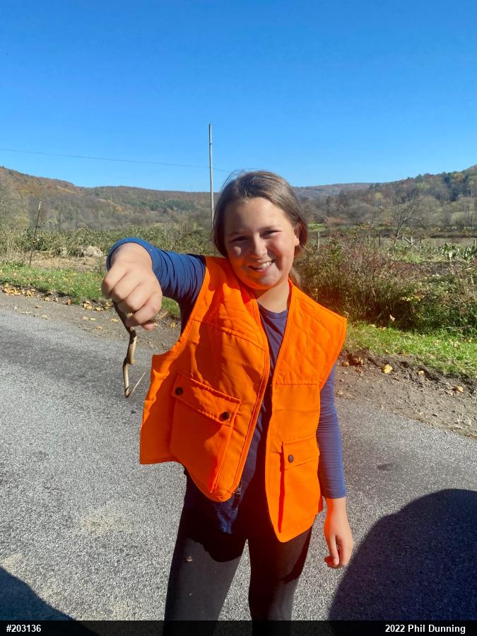 Eastern Gartersnake