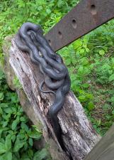 Eastern Ratsnake