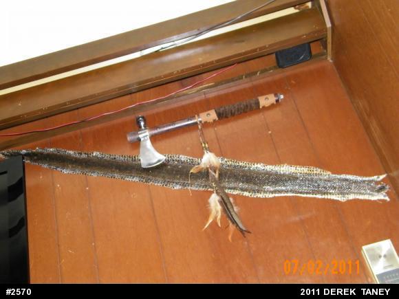 Northern Watersnake