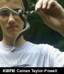 Northern Watersnake