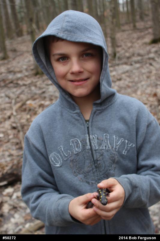 Spotted Salamander