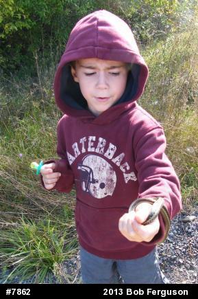 Eastern Gartersnake