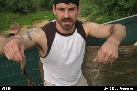 Eastern Gartersnake
